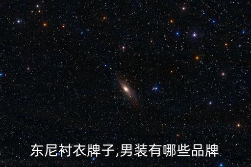 凯迪东尼衬衣牌子,男装有哪些品牌?