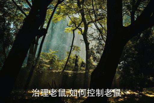 治理老鼠,如何控制老鼠