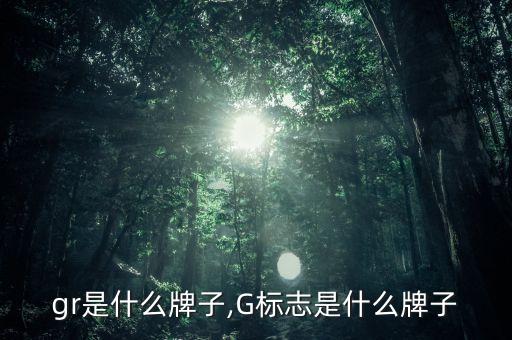 车标gr是什么牌子,G标志是什么牌子?