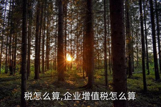 增值税怎么算,企业增值税怎么算