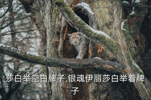 伊丽莎白举空白牌子,银魂伊丽莎白举着牌子