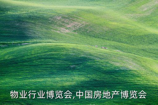 物业行业博览会,中国房地产博览会