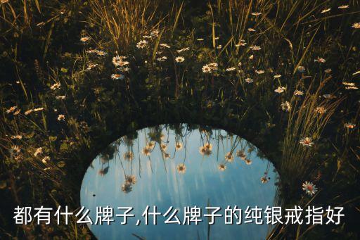 银戒都有什么牌子,什么牌子的纯银戒指好?