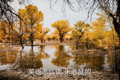 米奇英语怎么读,米老鼠的?