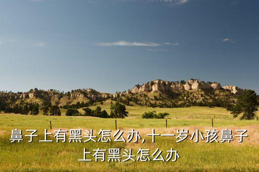 鼻子上有黑头怎么办,十一岁小孩鼻子上有黑头怎么办