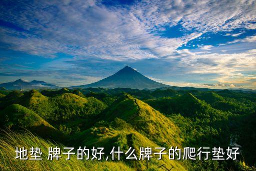 地垫 牌子的好,什么牌子的爬行垫好