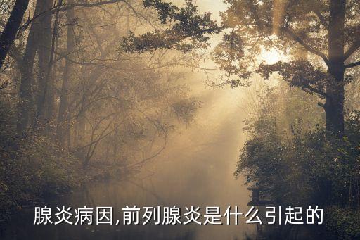 前列腺炎病因,前列腺炎是什么引起的?