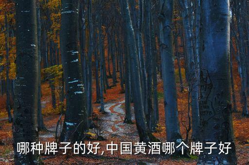 黄酒哪种牌子的好,中国黄酒哪个牌子好?