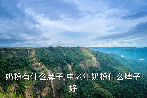 中年奶粉有什么牌子,中老年奶粉什么牌子好?