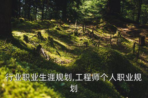 行业职业生涯规划,工程师个人职业规划