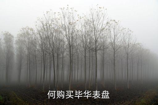 我如何购买毕华表盘?