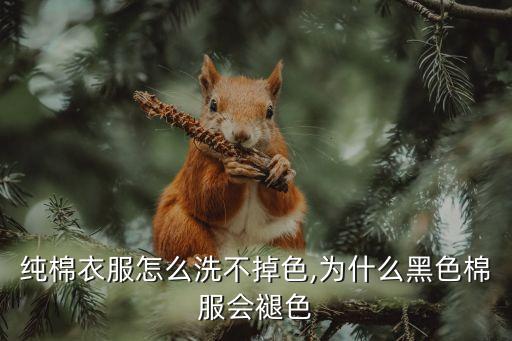 纯棉衣服怎么洗不掉色,为什么黑色棉服会褪色