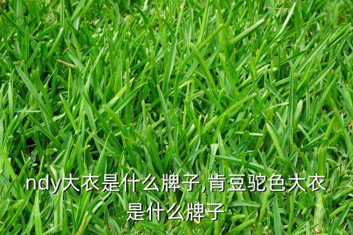 ndy大衣是什么牌子,肯豆驼色大衣是什么牌子