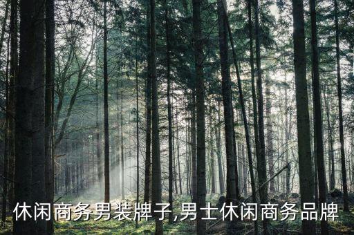 休闲商务男装牌子,男士休闲商务品牌