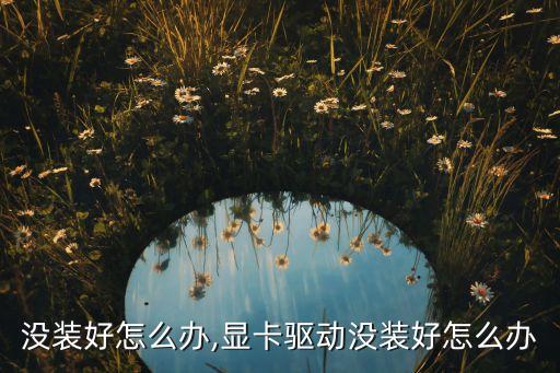 没装好怎么办,显卡驱动没装好怎么办