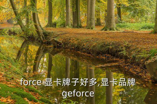 geforce 显卡牌子好多,显卡品牌geforce