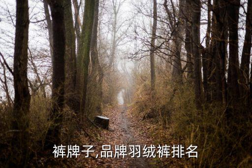 羽绒裤牌子,品牌羽绒裤排名