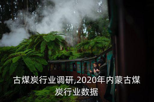 古煤炭行业调研,2020年内蒙古煤炭行业数据