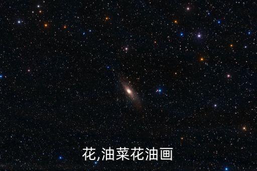 花,油菜花油画