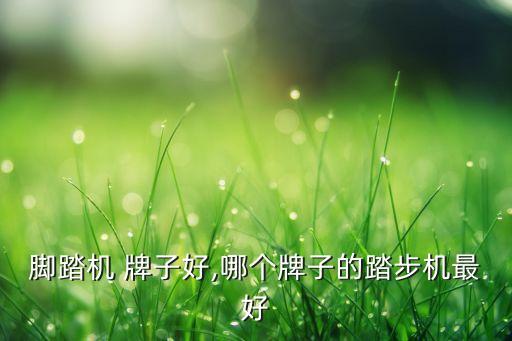 液压脚踏机 牌子好,哪个牌子的踏步机最好?