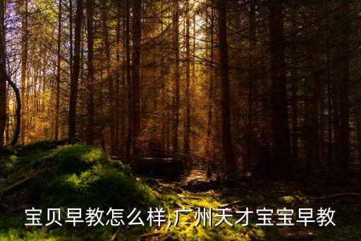 天才宝贝早教怎么样,广州天才宝宝早教