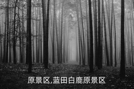 白鹿原景区,蓝田白鹿原景区