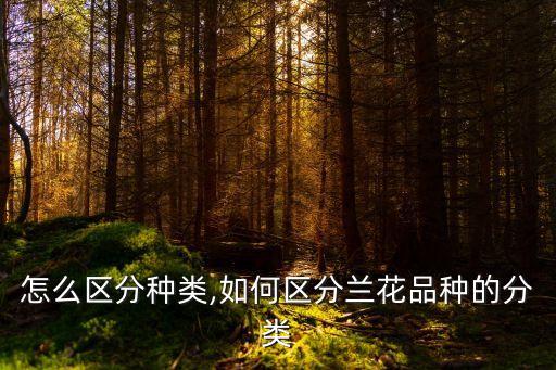 怎么区分种类,如何区分兰花品种的分类