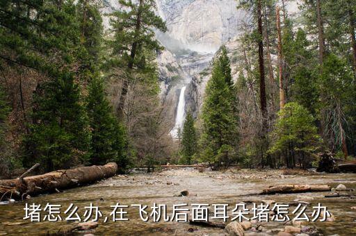堵怎么办,在飞机后面耳朵堵怎么办