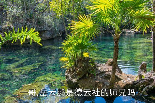 一哥,岳云鹏是德云社的师兄吗