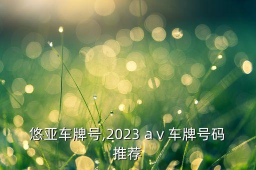 三上悠亚车牌号,2023 aⅴ车牌号码推荐