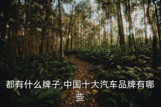 大车都有什么牌子,中国十大汽车品牌有哪些?