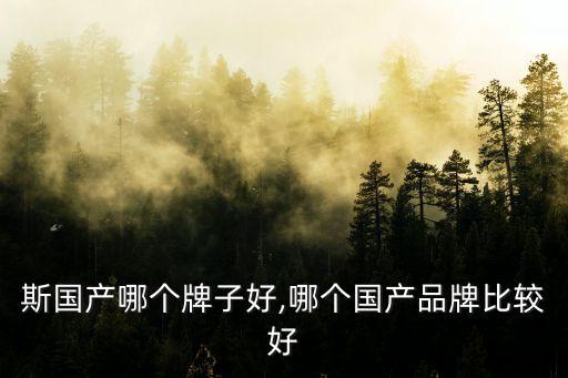 萨克斯国产哪个牌子好,哪个国产品牌比较好?
