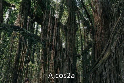 C2A,cos2a