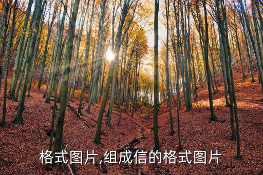 信的格式图片,组成信的格式图片