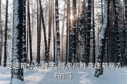 捷豹变速箱什么牌子,路虎揽胜变速箱是ZF的吗?
