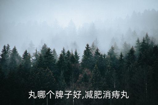 丸哪个牌子好,减肥消痔丸