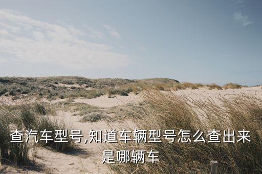 查汽车型号,知道车辆型号怎么查出来是哪辆车