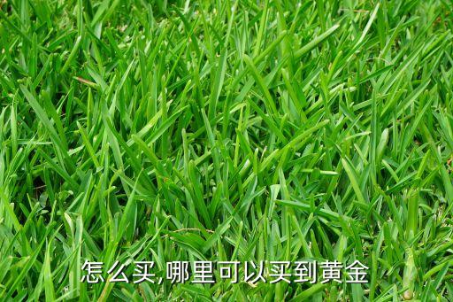 怎么买,哪里可以买到黄金