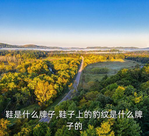 宝马鞋是什么牌子,鞋子上的豹纹是什么牌子的?