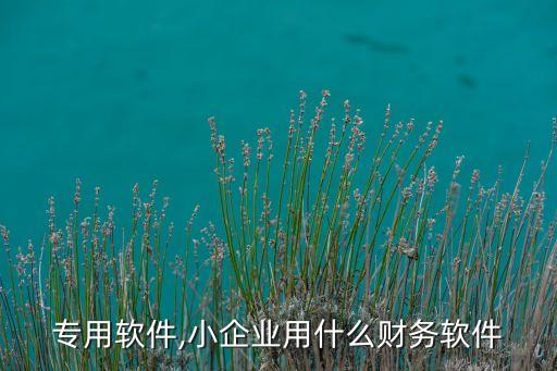 出纳专用软件,小企业用什么财务软件?