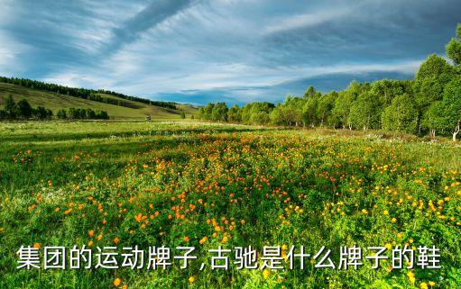 开云集团的运动牌子,古驰是什么牌子的鞋?