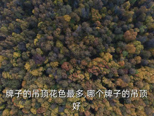 牌子的吊顶花色最多,哪个牌子的吊顶好
