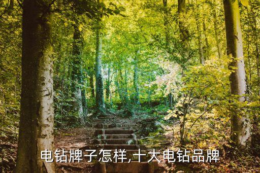 泰斗电钻牌子怎样,十大电钻品牌