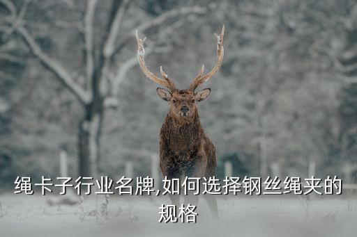 钢丝绳卡子行业名牌,如何选择钢丝绳夹的规格?