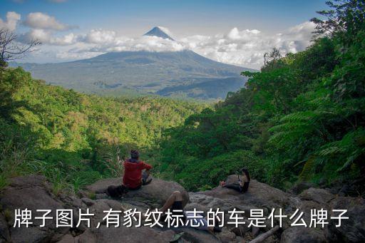 牌子图片,有豹纹标志的车是什么牌子