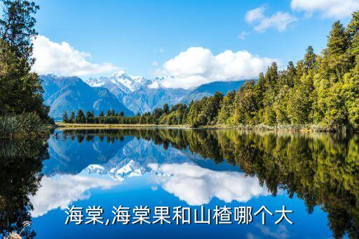 山楂海棠,海棠果和山楂哪个大?