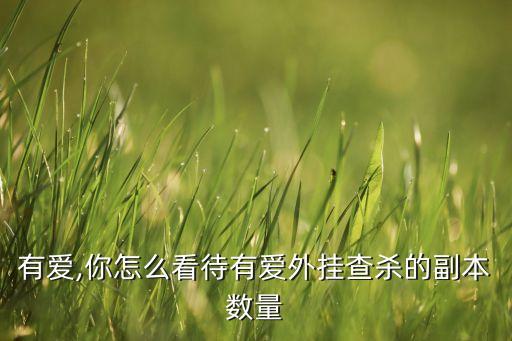魔兽有爱,你怎么看待有爱外挂查杀的副本数量?