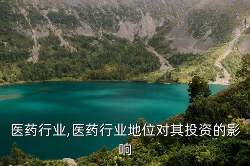 医药行业,医药行业地位对其投资的影响