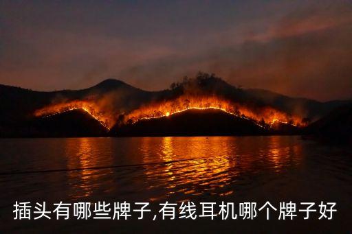 耳机插头有哪些牌子,有线耳机哪个牌子好?