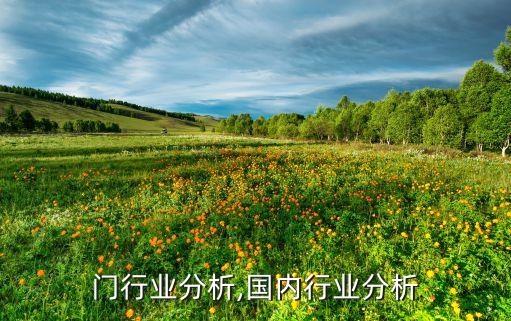 门行业分析,国内行业分析